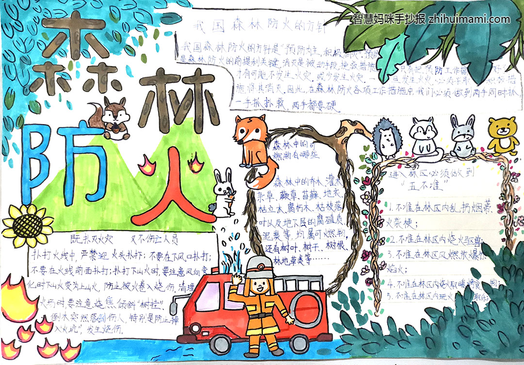 步骤2：森林防火，人人有责。