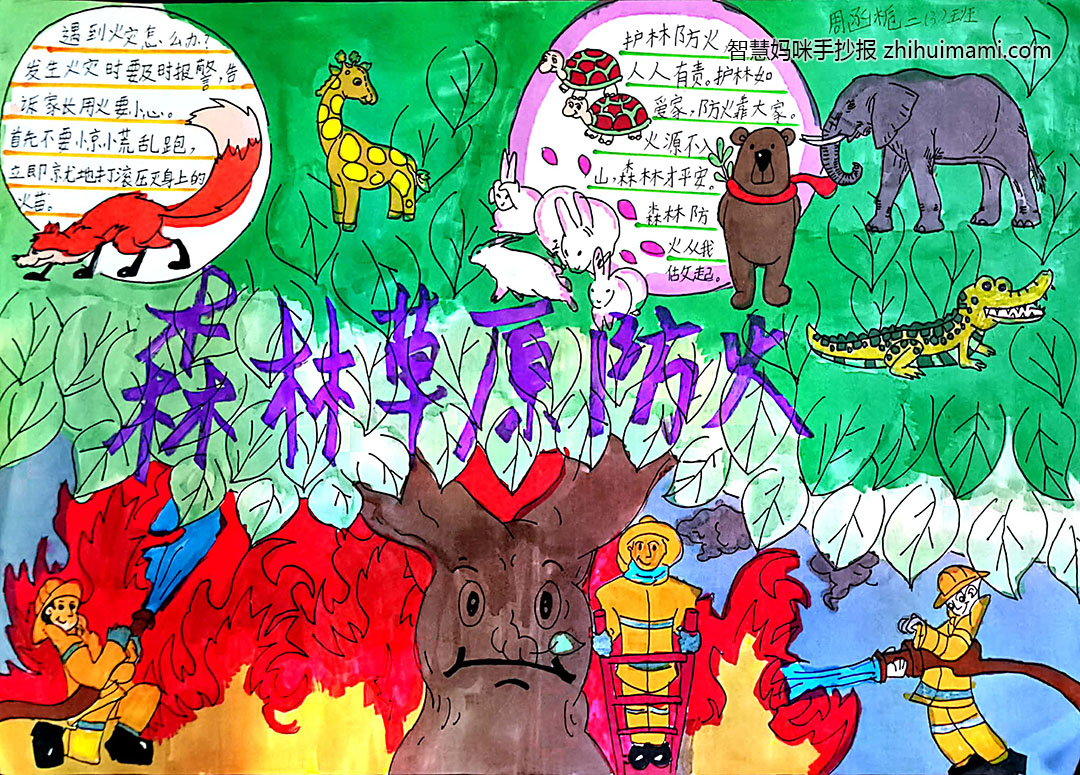 步骤4：手抄报从直观上表达了火灾的危害，画面直接冲击我们的心灵，让我们感受到火灾的危害。保护森林你我他，防火靠大家！