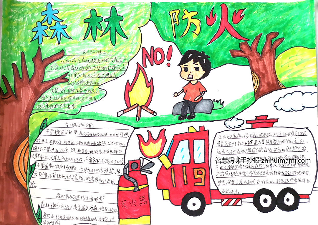 步骤5：森林火灾是森林最可怕的灾害，它不止烧毁森林，伤害动物，还破坏土壤，污染空气 ，破坏地下水源，使生态环境失去平衡。预防森林火灾，人人有责。