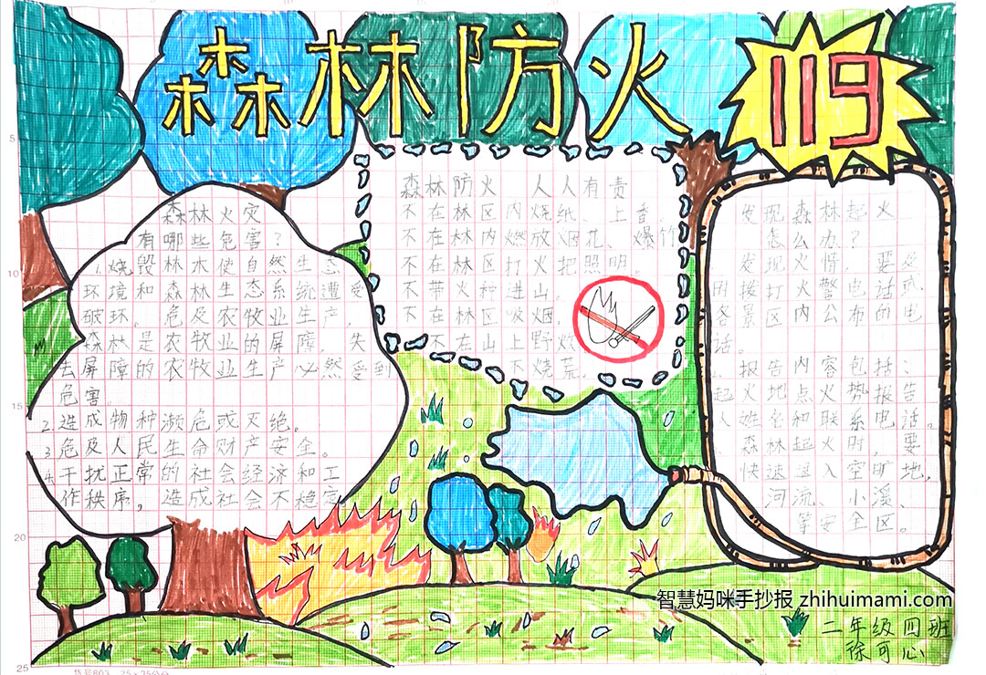 步骤1：森林防火，人人有责