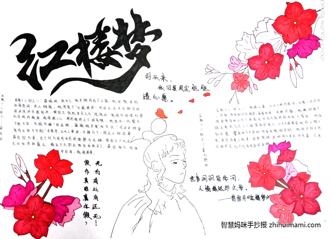 简单的红楼梦手抄报-图4