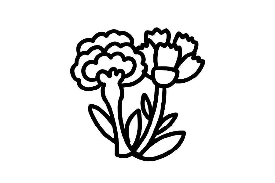 母亲节的花 康乃馨简笔画画法步骤-图5