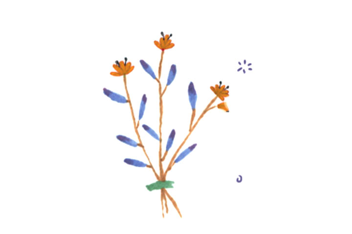 六张美丽的花花简笔画图片-图6