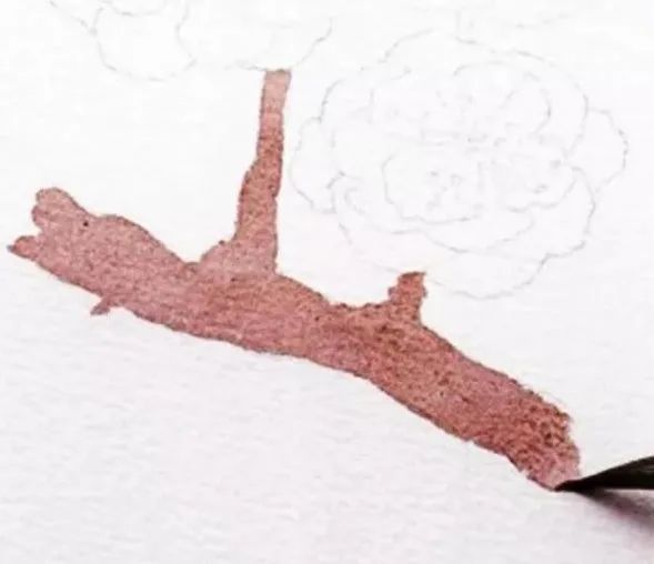 步骤2：上色，调浅钴紫加暗红橙画梅花的枝干。