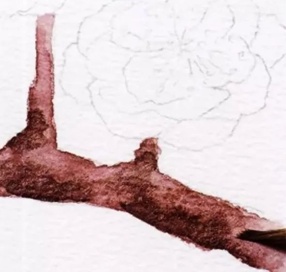 步骤4：调浅钴紫加乌贼黑混出深褐色画梅花枝干的暗面。