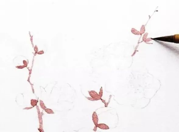 步骤5：用混出来的褐色画花萼。