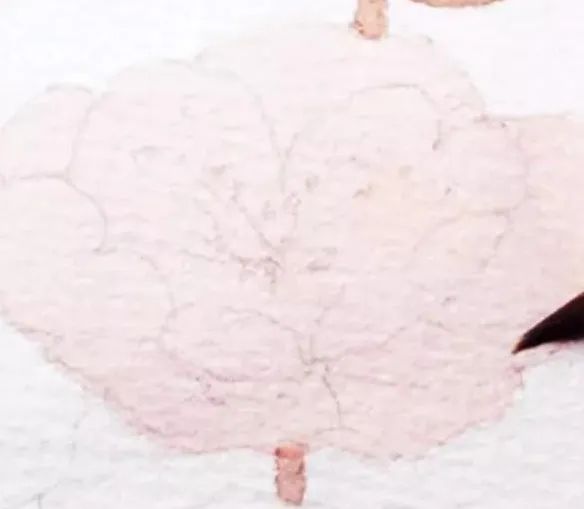 步骤6：用水稀释亮桃红画花朵部分。