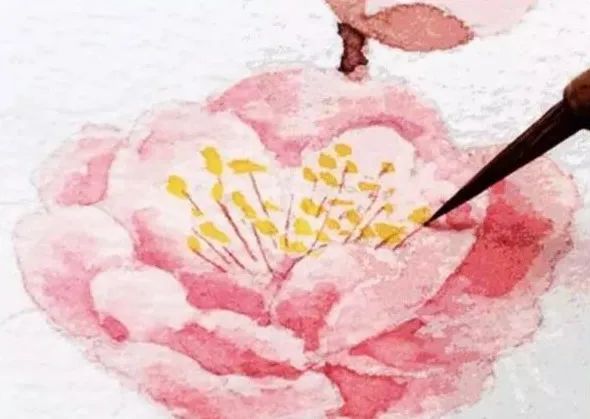 步骤10：用混出来的褐色画花蕊茎。