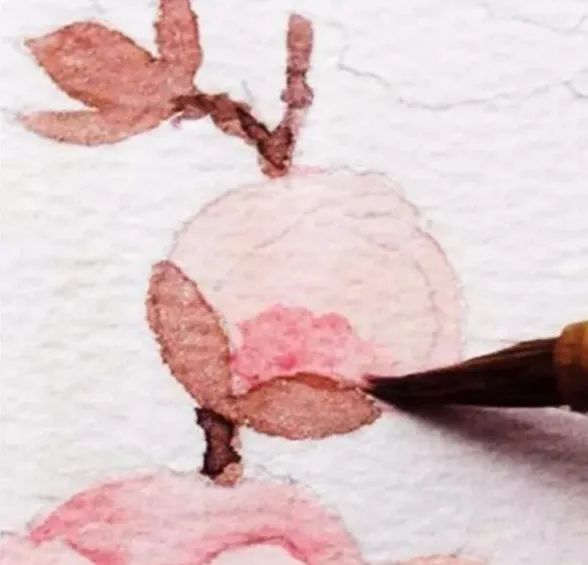 步骤12：待干后，在根部加一点玫瑰红色。