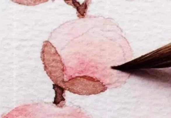 步骤13：用蘸水笔将玫瑰红色晕开。