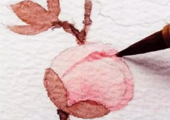 步骤14：用玫瑰红色把花瓣的边缘细细描一遍。