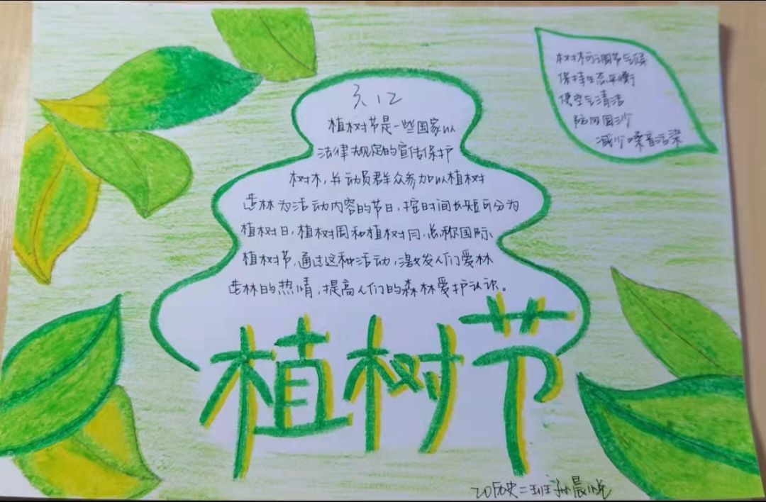 三年级植树节手抄报简单好画-图1
