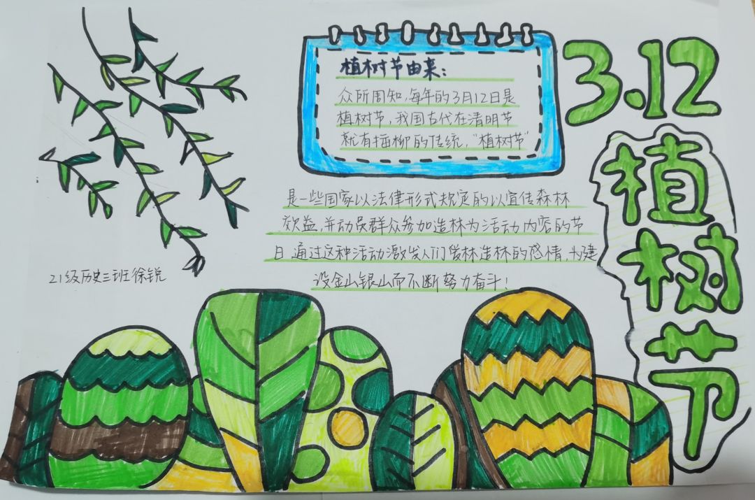 植树节手抄报简单好看-图2