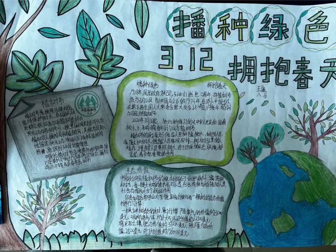 三年级植树节手抄报绘画-图4