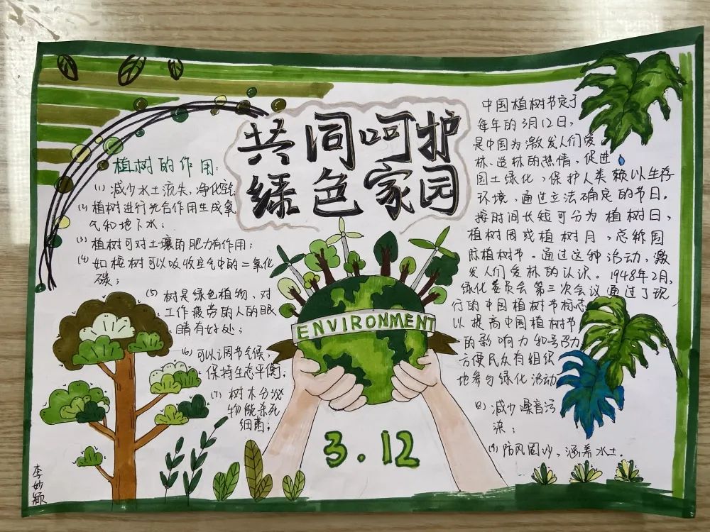 小学六年级3月12日植树节的手抄报-图4