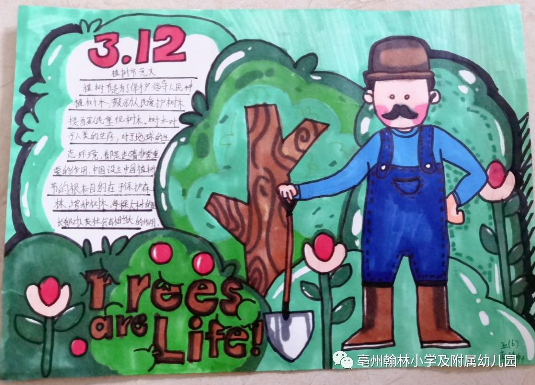 怎么画一幅植树节的手抄报-图3