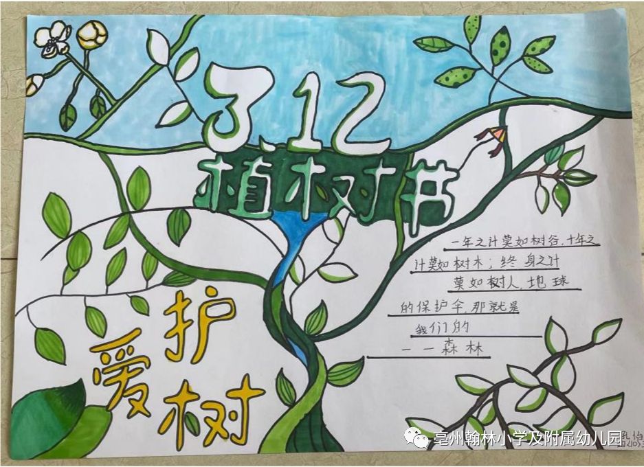 怎么画英语植树节的手抄报-图3