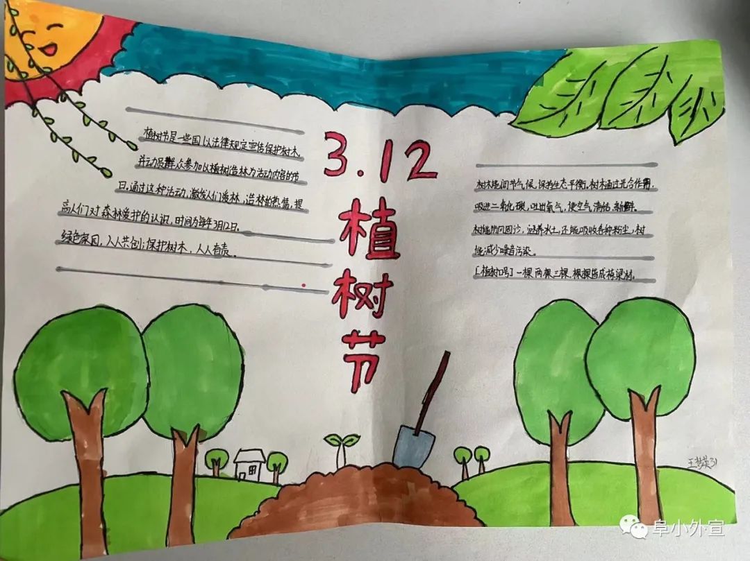 初中植树节手抄报教程-图3
