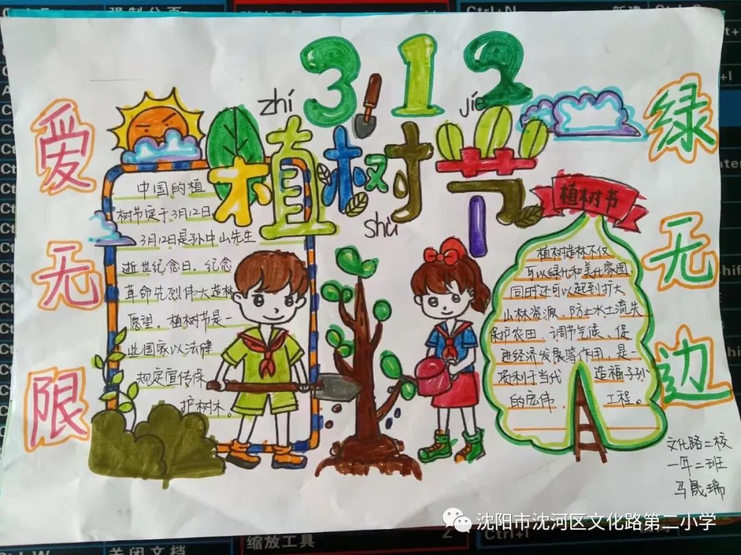 简单的爱绿护绿植树节手抄报-图3