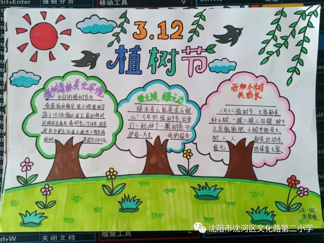 简单好看的植树节手抄报-图5