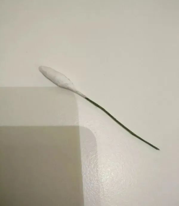 步骤10：如图。