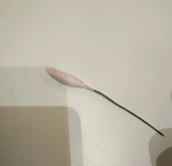 步骤12：包好如图。