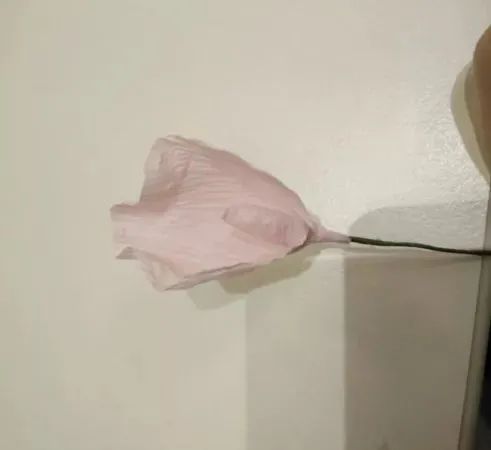 步骤14：呈半包围状。