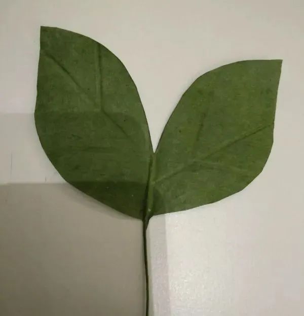 步骤23：剪好如图。