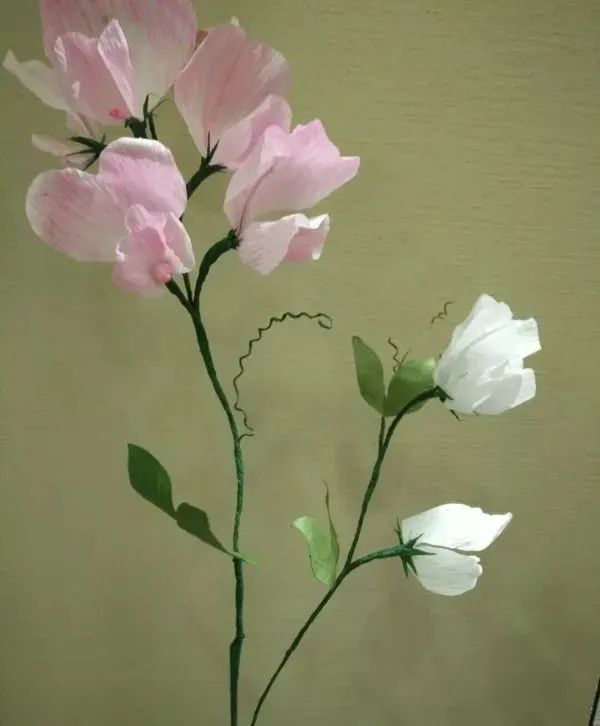 漂亮的豌豆花剪纸教程