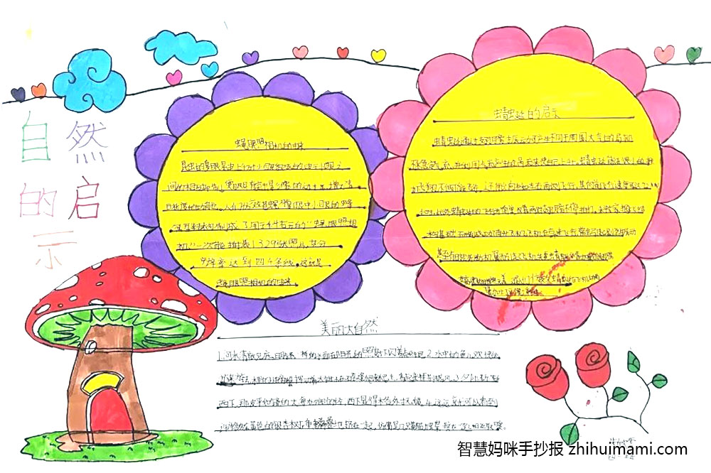 大自然的启示手抄报简单又漂亮-图7