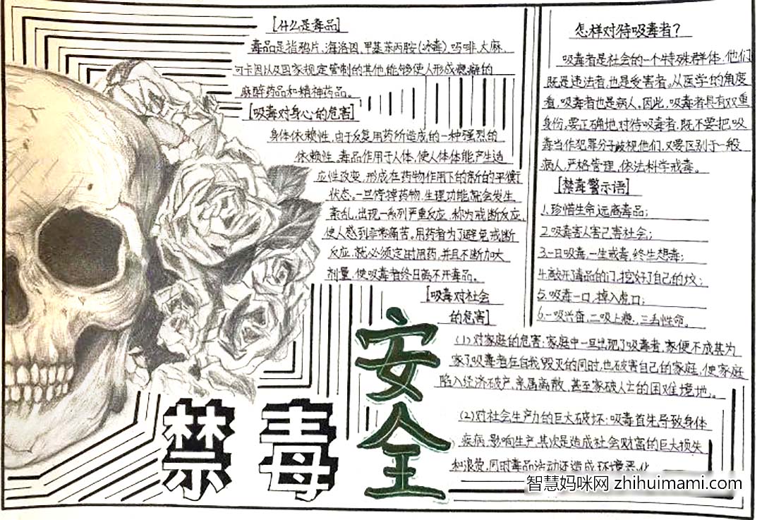 7张关于禁毒安全教育的手抄报图片-图4