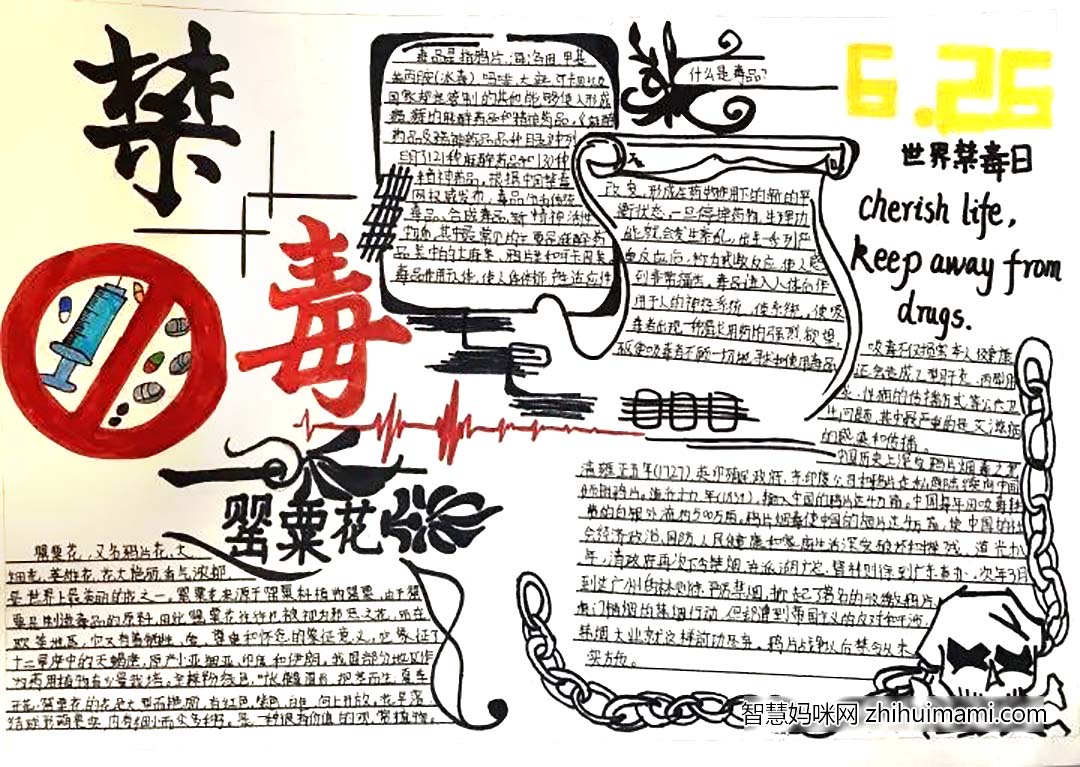 7张关于禁毒安全教育的手抄报图片-图7