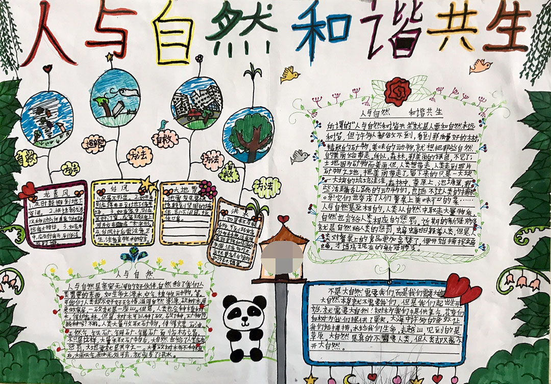 奇妙的大自然手抄报-图1