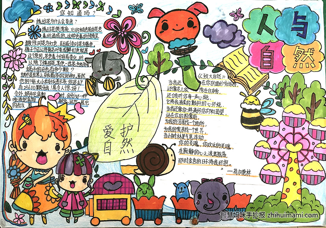 奇妙的大自然手抄报-图2