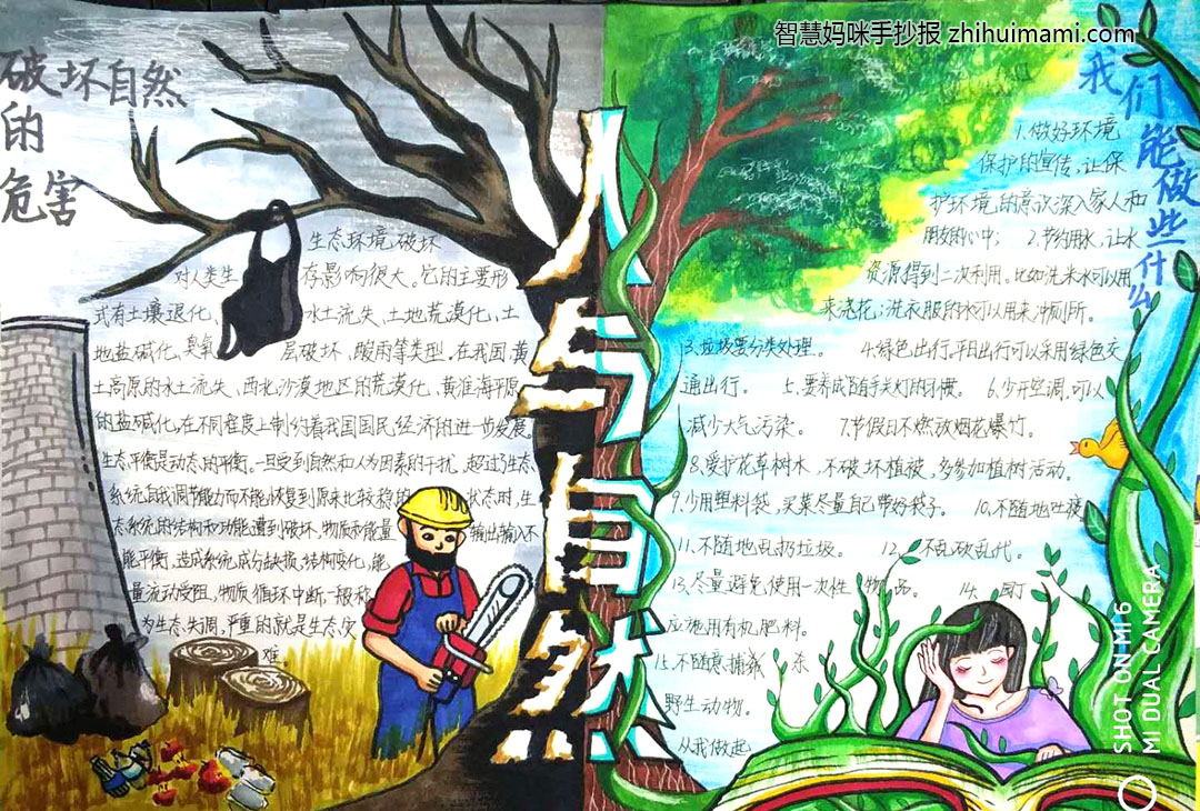 走进大自然手抄报-图4