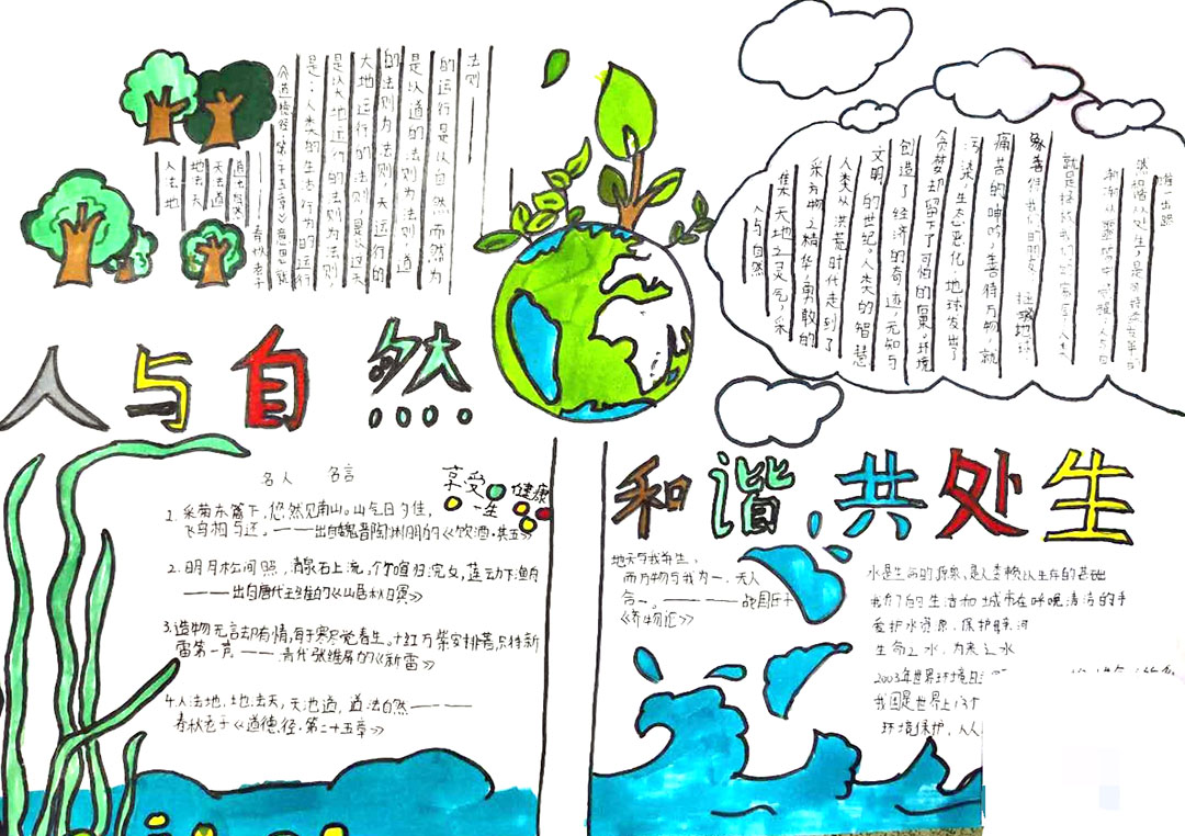 奇妙的大自然手抄报-图5