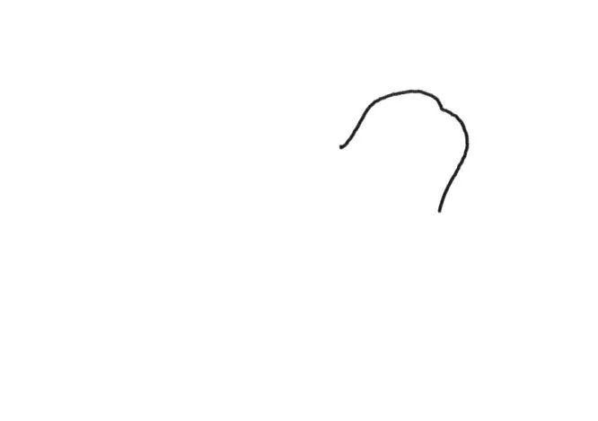 树懒简笔画 树懒宝宝和树懒妈妈-图1