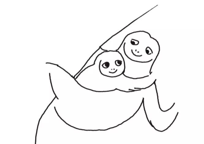 树懒简笔画 树懒宝宝和树懒妈妈-图4