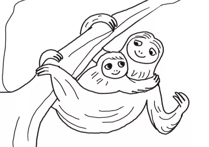 树懒简笔画 树懒宝宝和树懒妈妈-图6