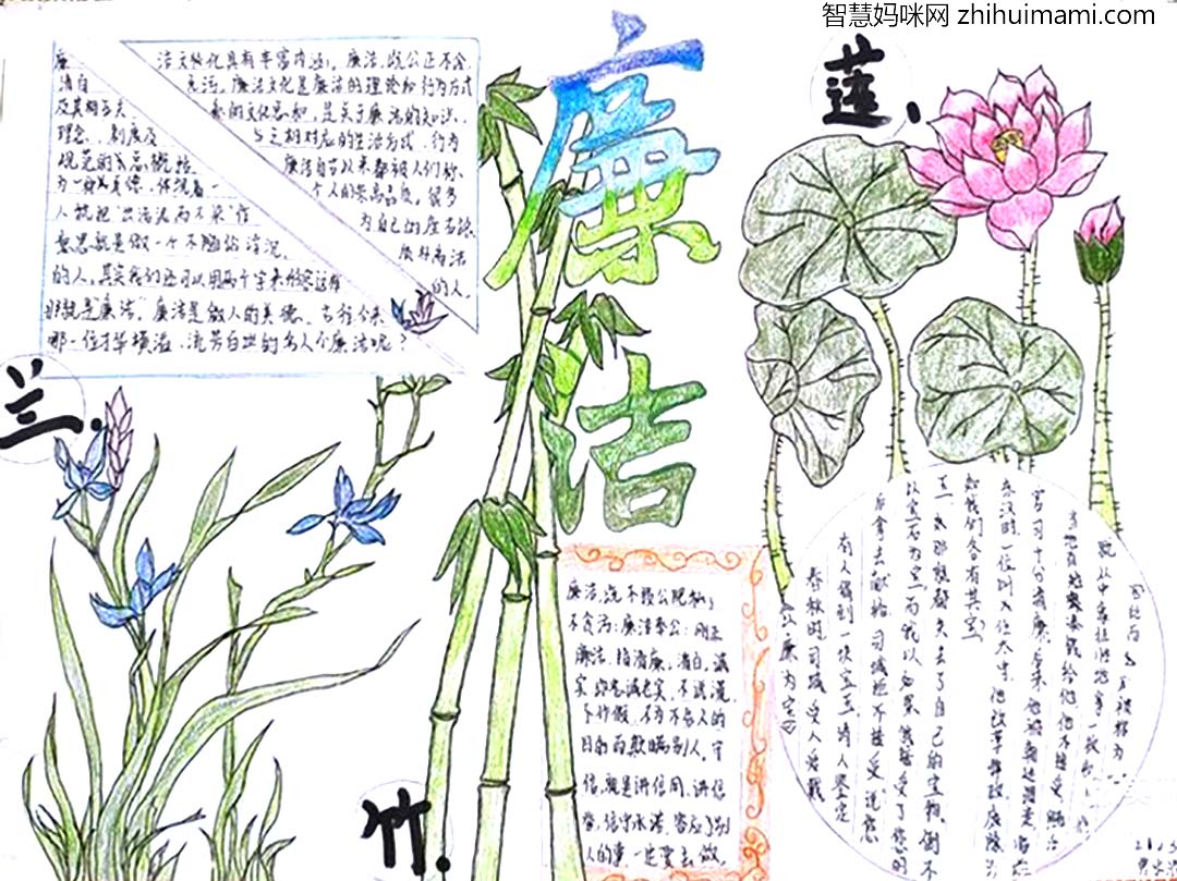 廉洁进校园，“崇清尚廉”主题手抄报6张-图4