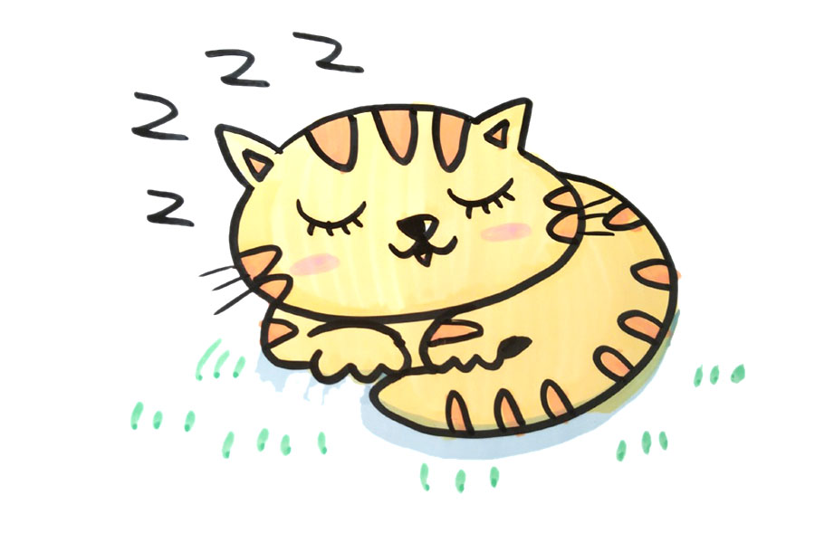 漂亮的小猫简笔画图片（8张）-图5