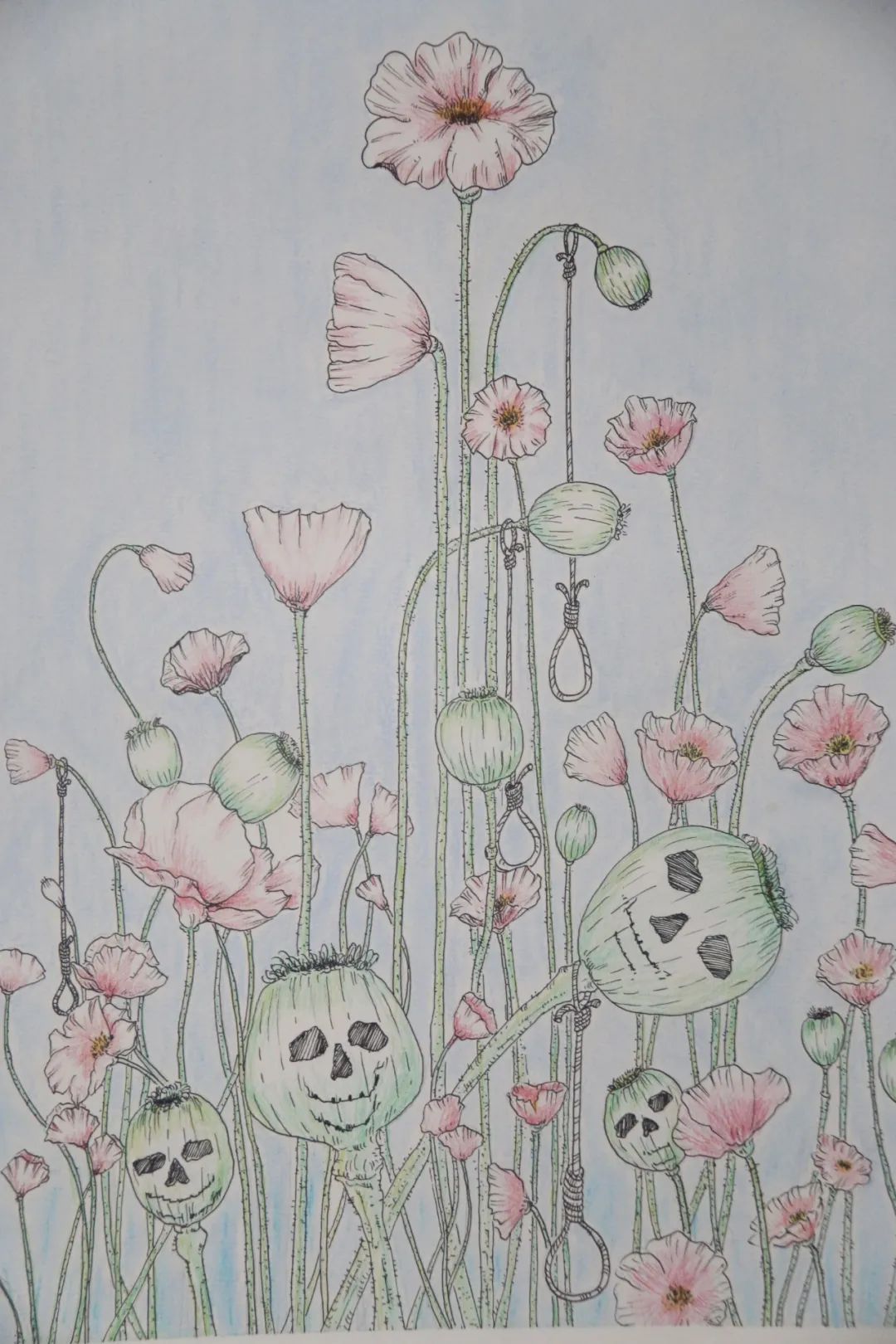 步骤5：罂粟之“美”