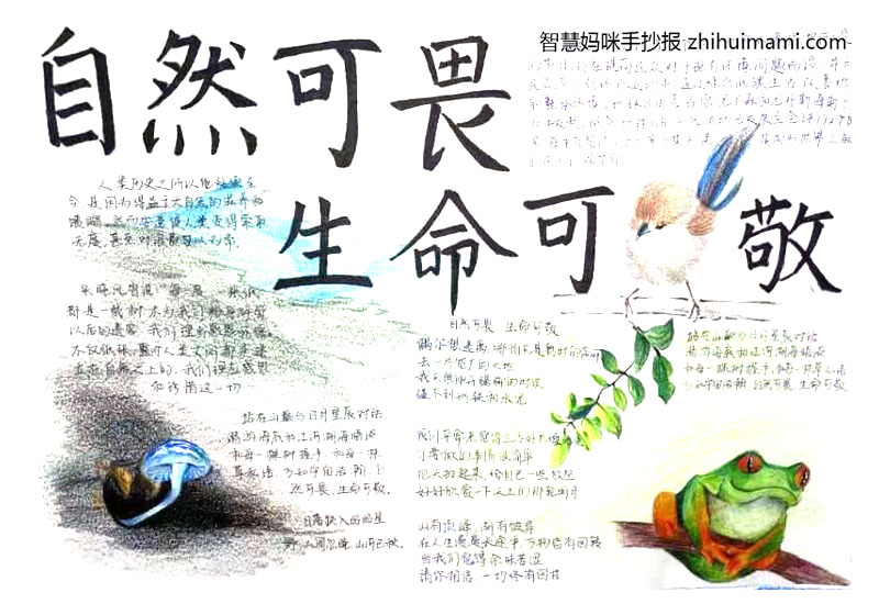“敬畏自然 和谐共生”主题手抄报一等奖（8张）-图7