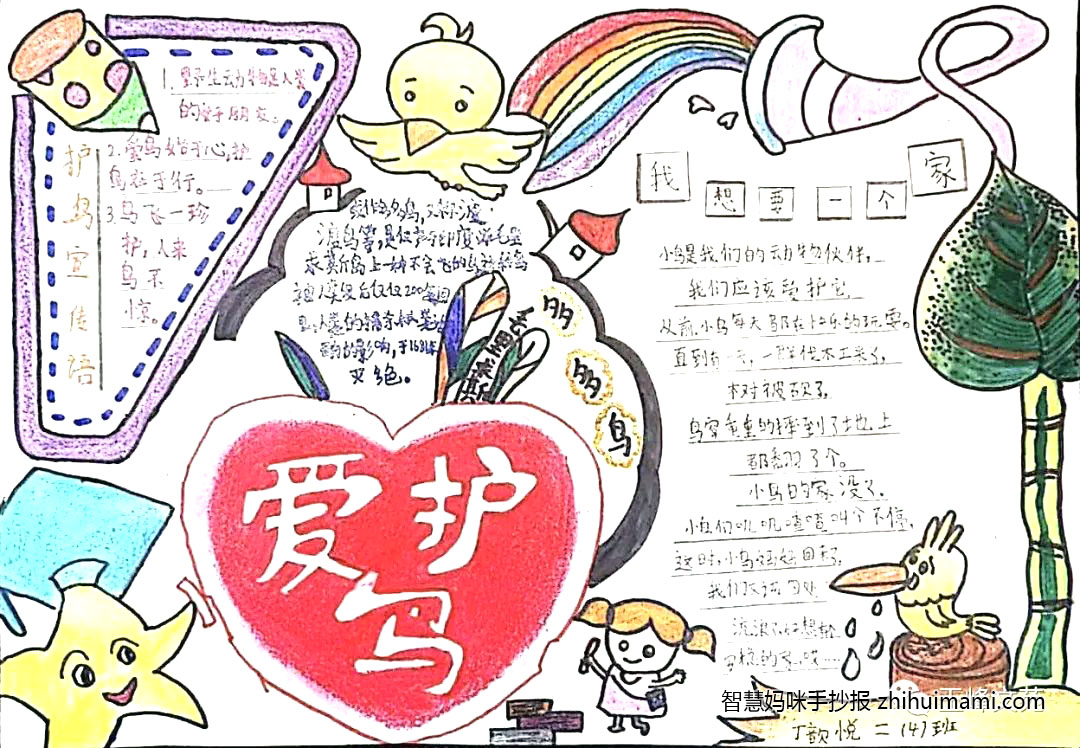爱鸟护鸟从我做起手抄报-图1