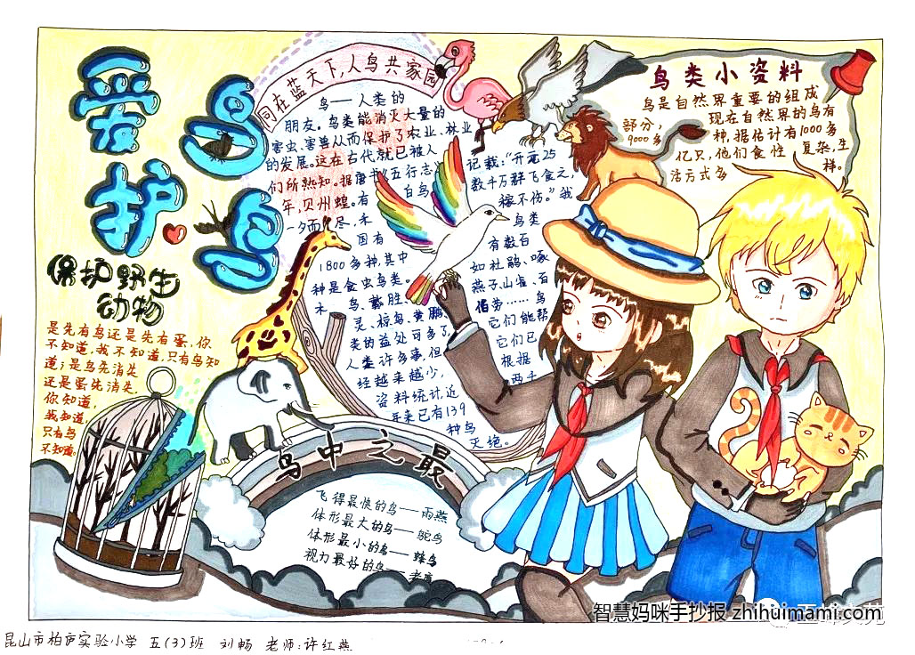爱鸟护鸟从我做起手抄报