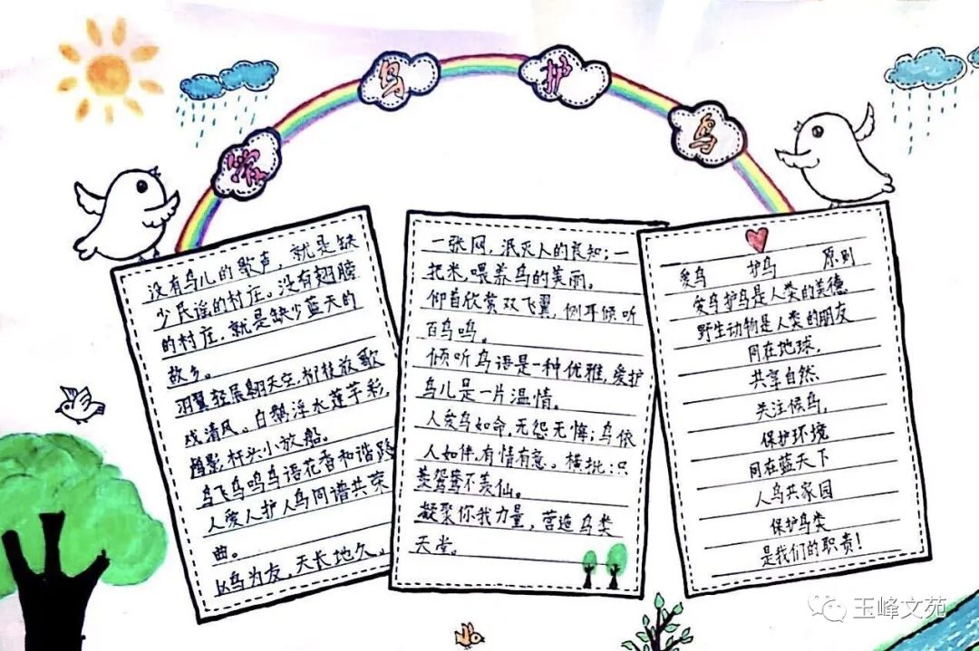 5张关于爱鸟护鸟的手抄报绘画-图2