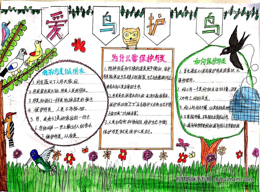 爱鸟新时代共建好生态手抄报-图1