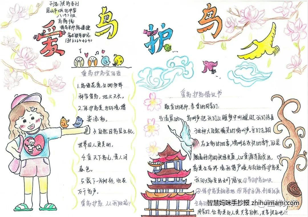爱鸟新时代共建好生态手抄报-图4