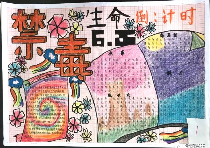 依法禁毒从我做起小学禁毒手抄报一等奖（9张）-图3