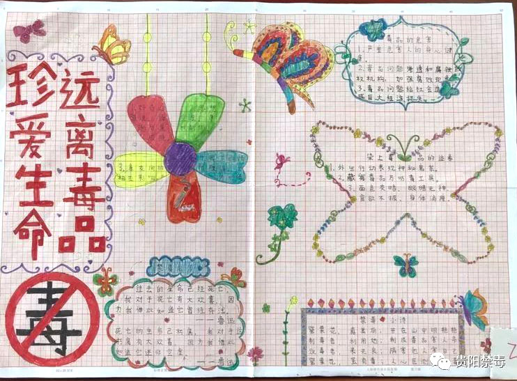 依法禁毒从我做起小学禁毒手抄报一等奖（9张）-图7